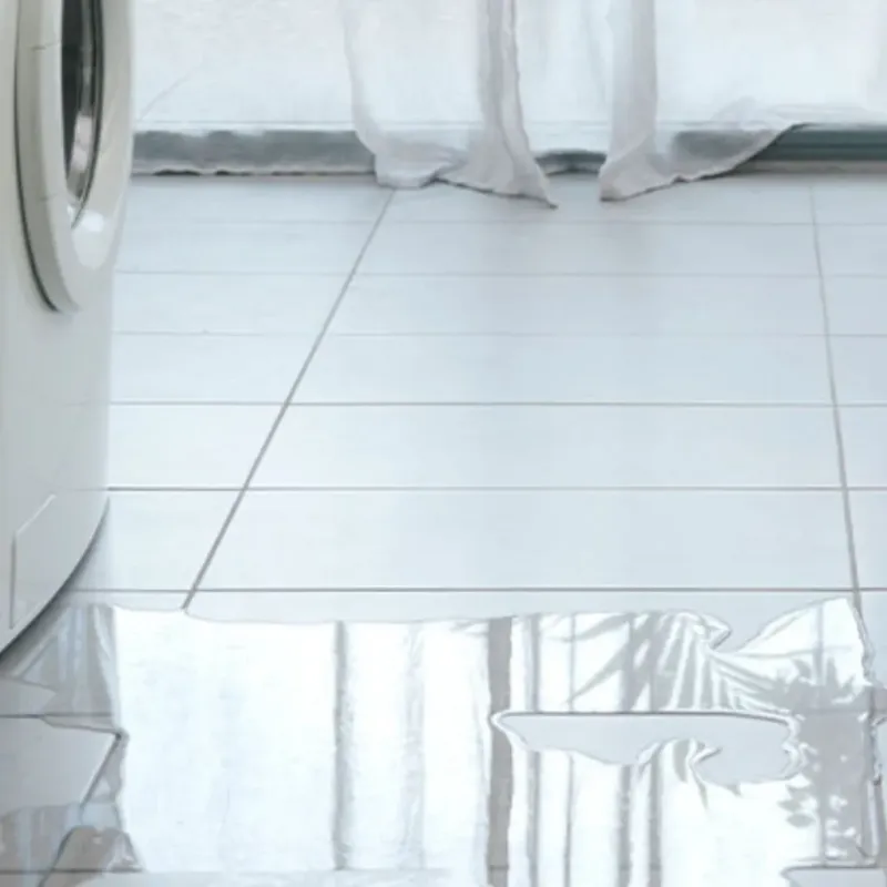 Appliance Leak Cleanup in Parkland, WA