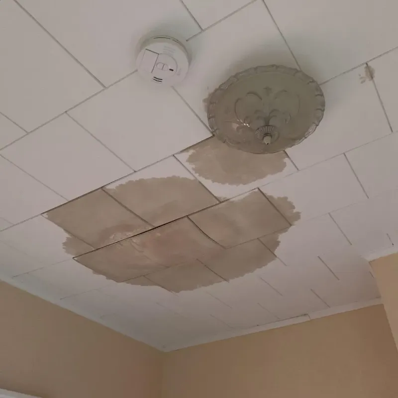 Ceiling Water Damage Repair in Parkland, WA